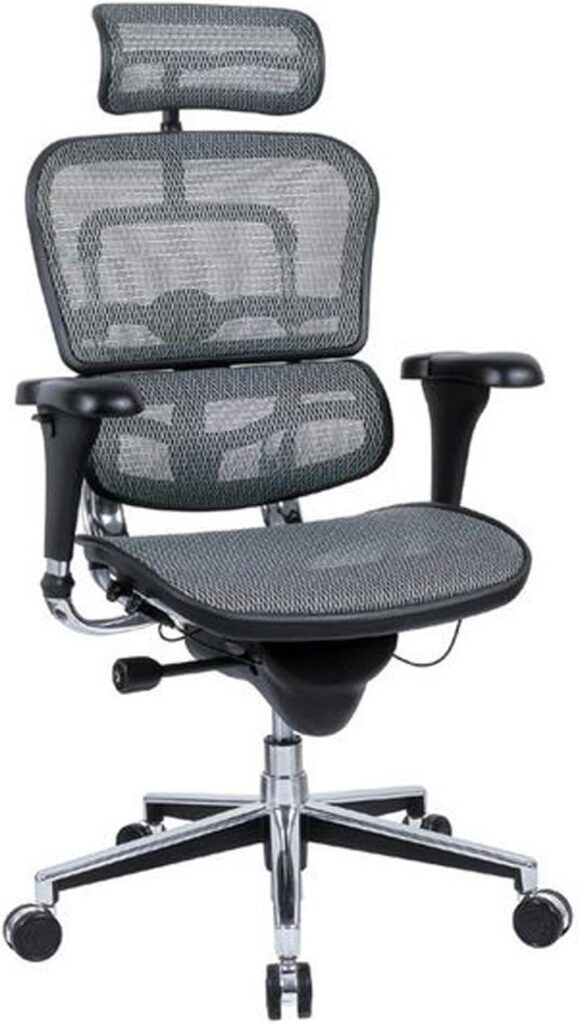 Ergohuman ergonomic office chair in black mesh, featuring a high backrest and headrest.