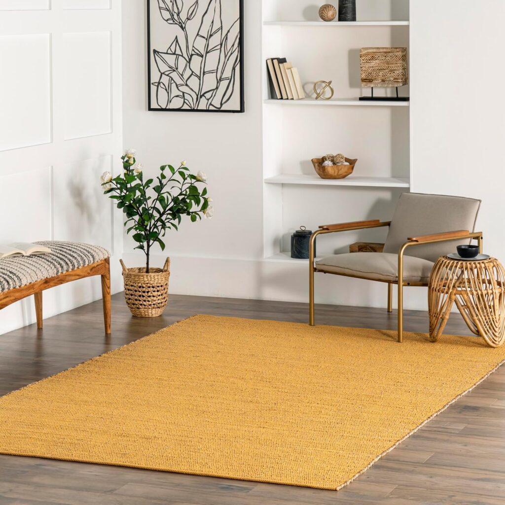 Area Rug by nuLOOM.