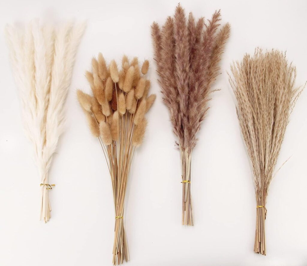 Dried Pampas Grass.