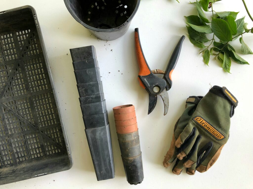 Gardening Tools like gloves and pruning shears.